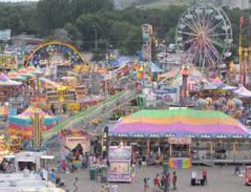How to Make the Most of Your County Fair Visit: A Complete Guide