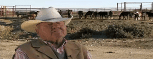 Harry Vold, Stock Contractor