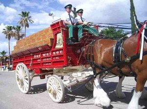 Budweiser Wagon