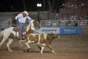 Colorado State Fair Rodeo