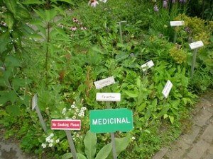 Storrowton Village Herb Garden