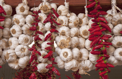 Garlic and Peppers