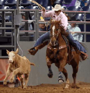 Rodeo Houston Calf Scrambel