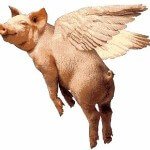 flyingpig