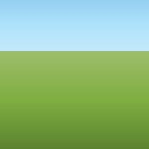 Sky and Grass