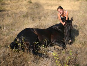 Horse Illness: How to Recognize, Treat, and Prevent It?