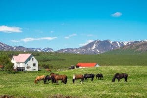 Farm Power: The Ultimate Guide to Green Energy and Profits