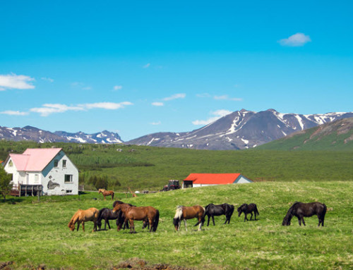 Farm Power, The Cash Crop