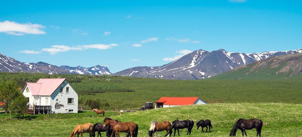 Farm Power: The Ultimate Guide to Green Energy and Profits
