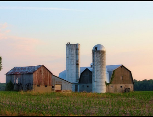 Factory Farms versus Family Farms