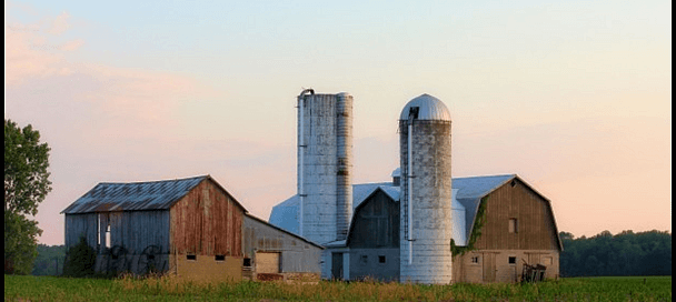 Factory Farms vs Family Farms: How They Affect US Farming?