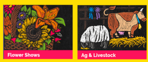 South Carolina State Fair 2018 activities