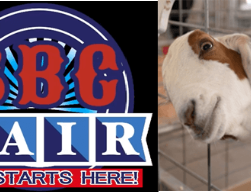 San Bernardino County Fair 2019