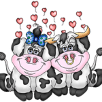 Valentine Heearts and Cows