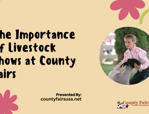 The Importance of Livestock Shows at County Fairs