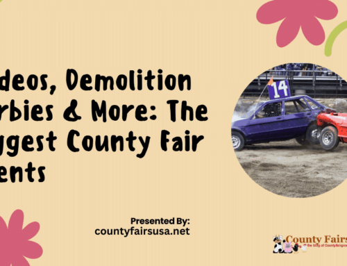 Rodeos, Demolition Derbies & More: The Biggest County Fair Events