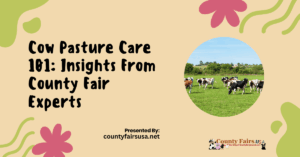 Cow Pasture Care 101: Insights From County Fair Experts