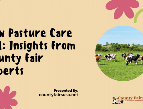 Cow Pasture Care 101: Insights From County Fair Experts