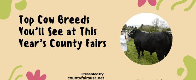 Top Cow Breeds You’ll See at This Year’s County Fairs