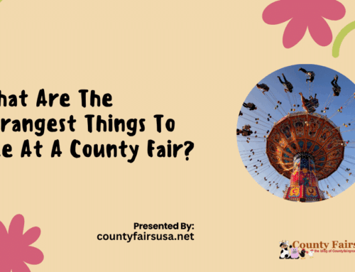 What Are The Strangest Things To See At A County Fair?