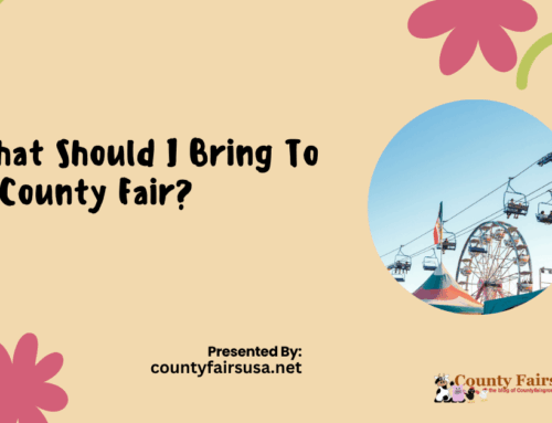 What Should I Bring To A County Fair?