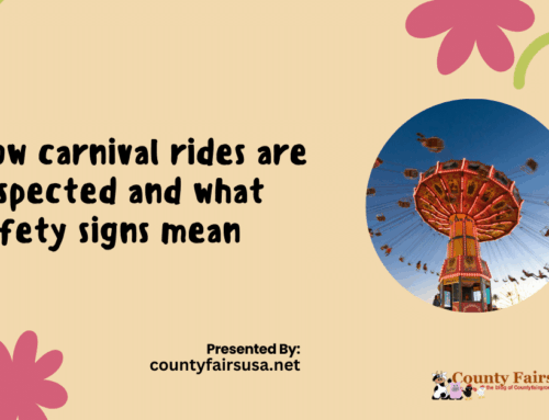 How Carnival Rides Are Inspected and What Safety Signs Mean