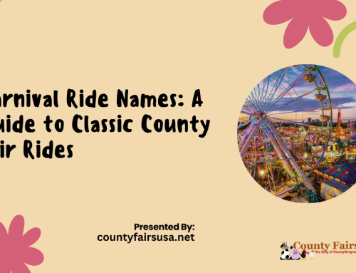 Carnival Ride Names: A Guide to Classic County Fair Rides