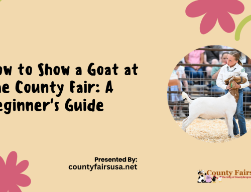 How to Show a Goat at the County Fair: A Beginner’s Guide