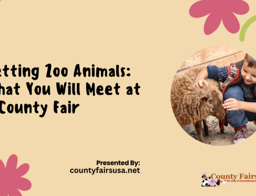 Petting Zoo Animals: What You Will Meet at a County Fair